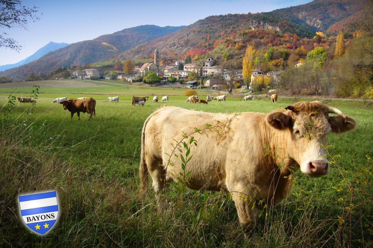 Gite La Taniere Des Alpes Bayons Exteriér fotografie
